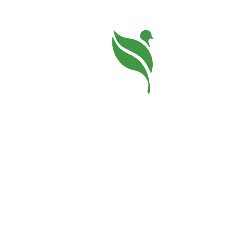 Nizuto Logo